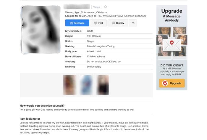Quality of The Profiles Interracialdating